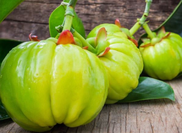 Garcinia Cambogia Extract Hydroxycitric acid Powder HCA