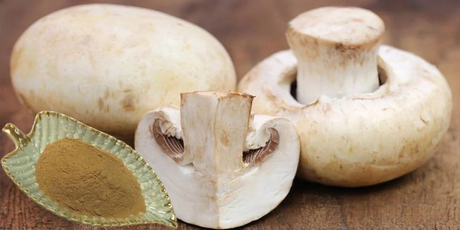 Volvariella Volvacea Extract Powder