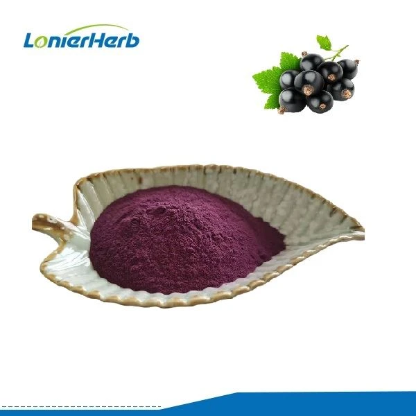 Polvere di succo di ribes nero