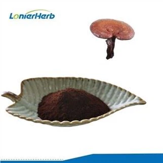 Polvere di spore di Ganoderma Lucidum spezzata