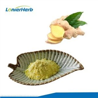 Polvere di estratto di zenzero