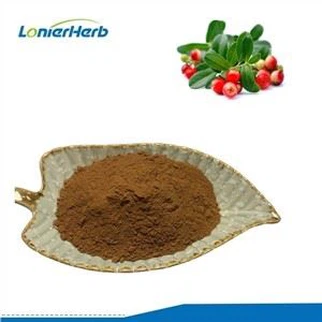 Estratto di foglie di Arctostaphylos Uva Ursi