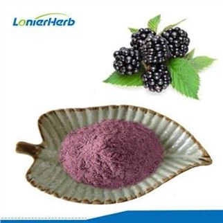 Polvere di frutta di mora