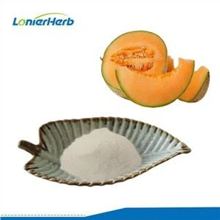Polvere di melone