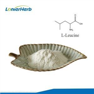Aminoacido L-leucina