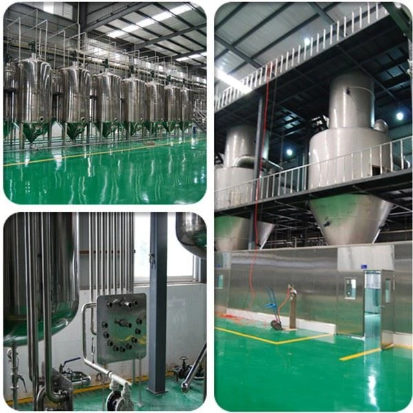 Ascorbic Acid Powder